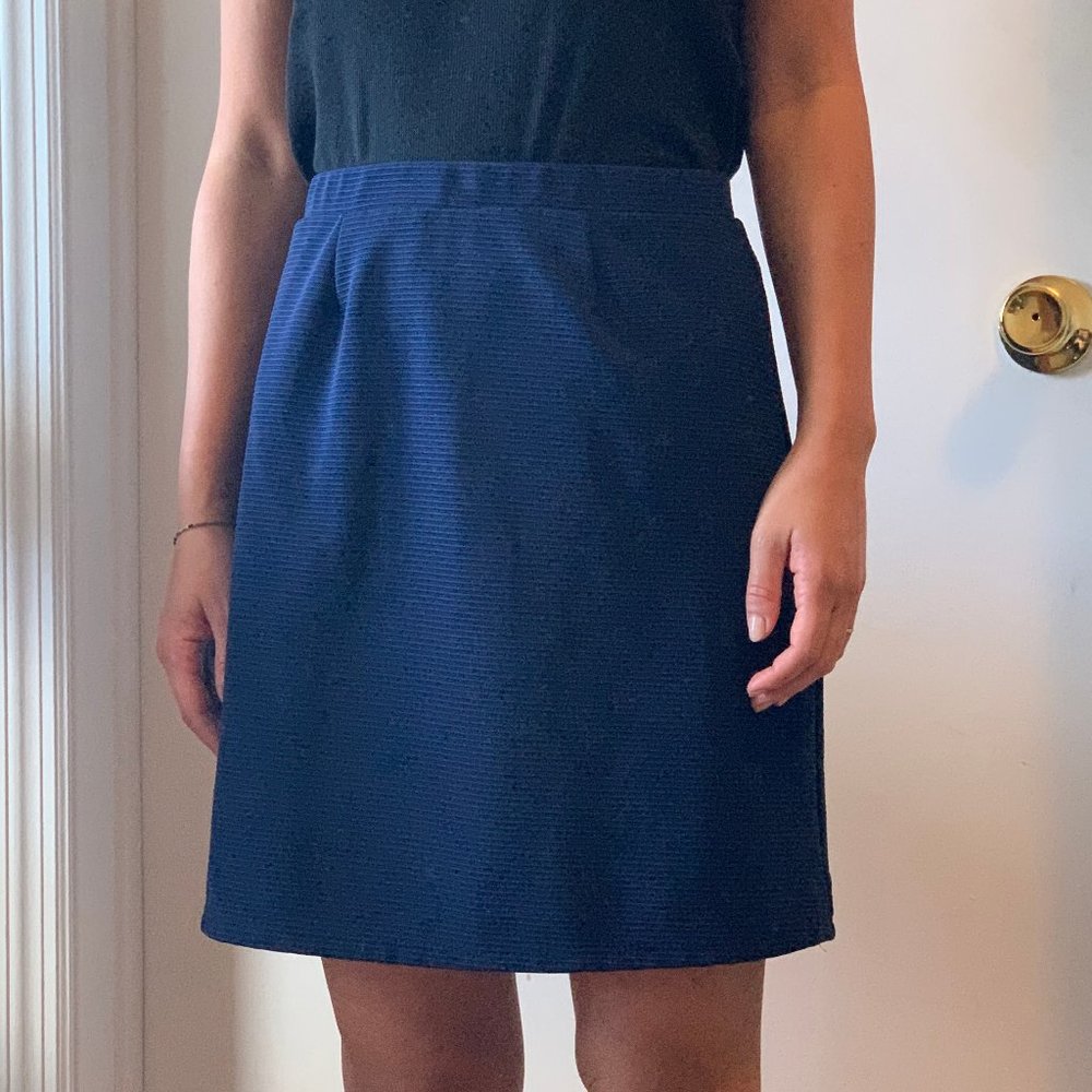 Brooklyn Industries Blue Skirt